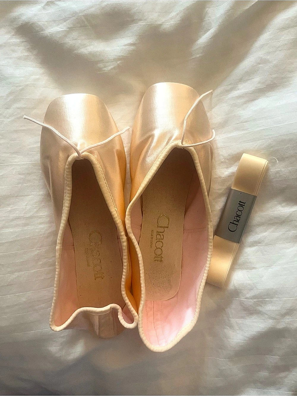 Chacott Veronese II Pointe Shoes US 9 Wide NWT